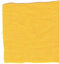coton jaune.jpg